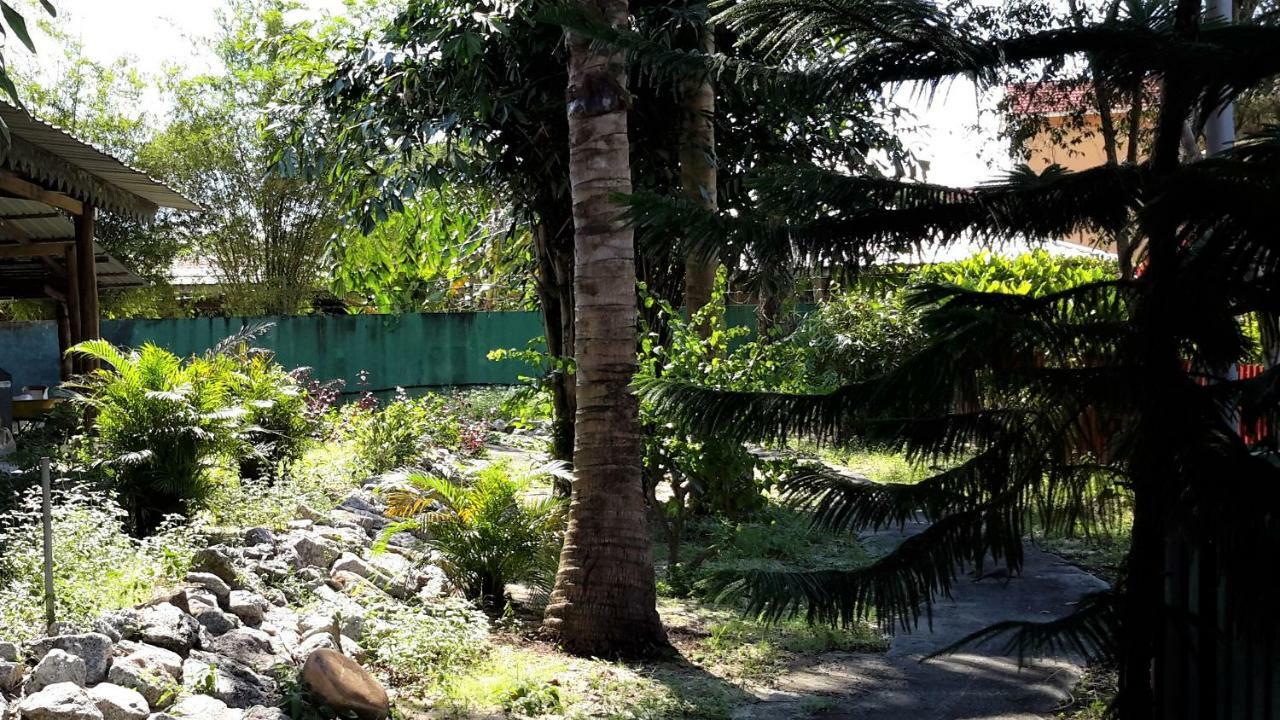 Sabandy Guesthouse Kuah Εξωτερικό φωτογραφία
