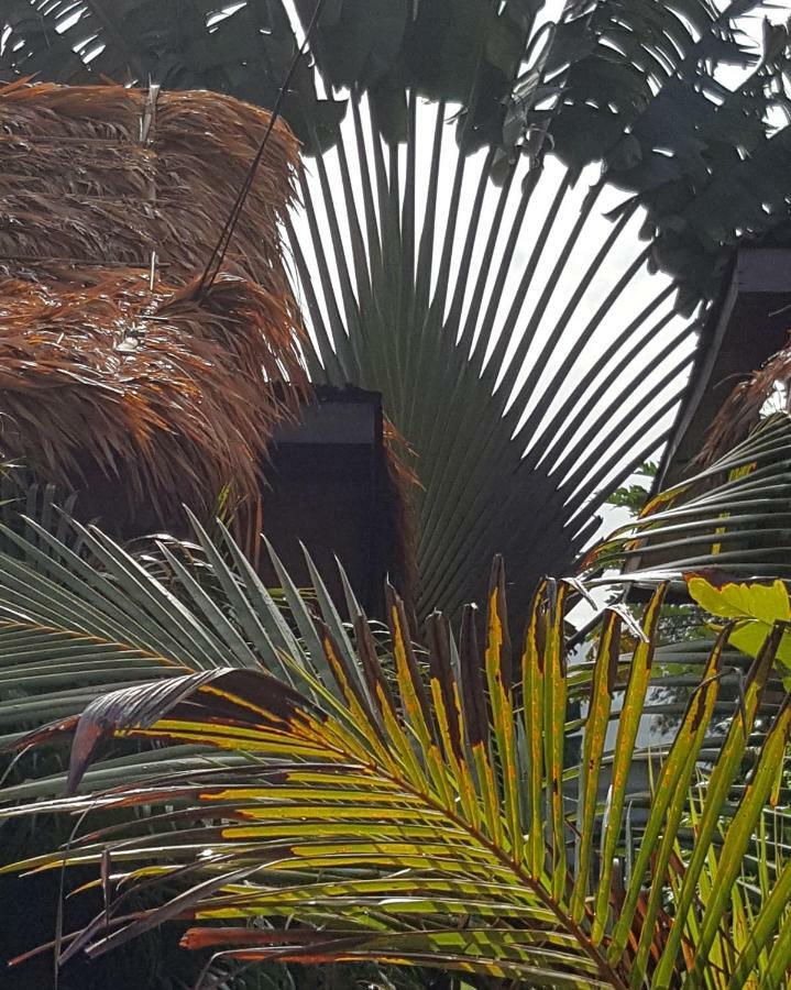Sabandy Guesthouse Kuah Εξωτερικό φωτογραφία